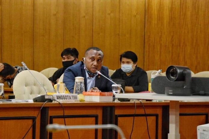 Legislator Papua Berharap Dubes di Kawasan Pasifik Dijabat OAP