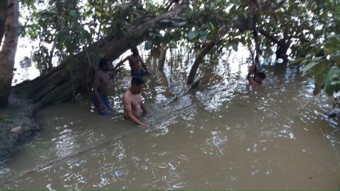 Tabrak Pohon, Satu Penumpang Speed Boat Meninggal Dunia