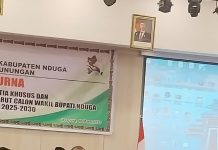 Pasca Pemilihan Wakil Bupati Nduga, semua pihak diajak jaga stabilitas di Nduga