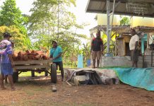 Dari Sagu Basah ke Tepung Kemasan, Perjuangan Yakobus Bangun Industri Pangan Lokal di Merauke