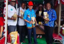 Festival Etnik Religi Tolikara Dinilai Dorong Generasi Muda dan Ekonomi Lokal